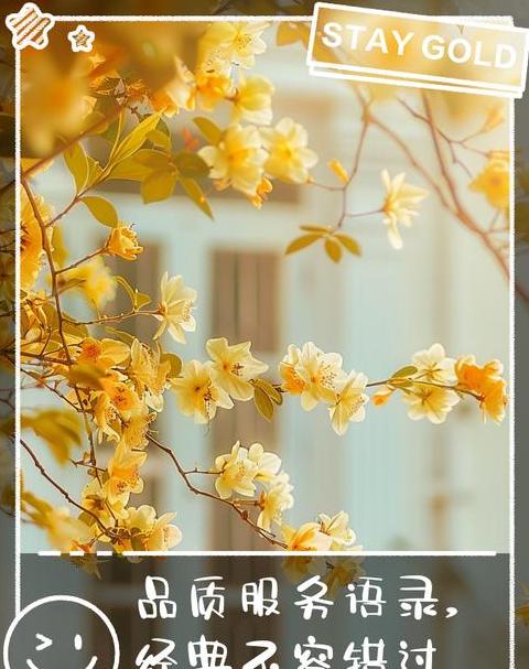 服务品质赞歌：优质服务句子精选集