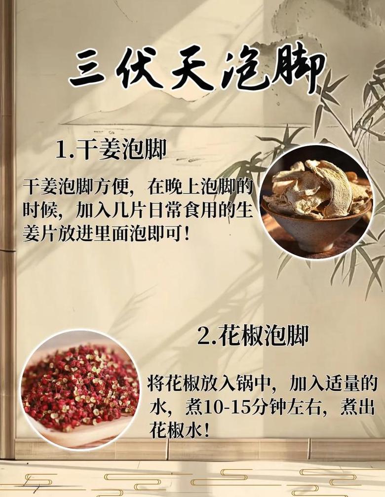 三伏天泡脚去湿气指南：艾叶泡脚频率及去湿茶饮推荐