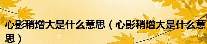 稍有的意思