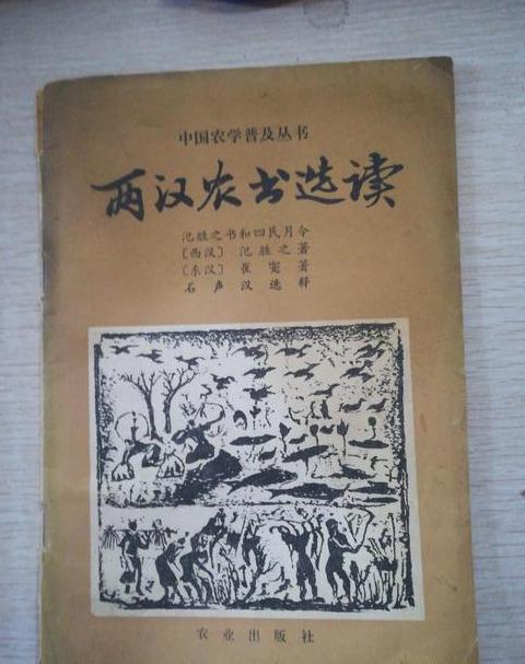 泛胜之书的作者是谁