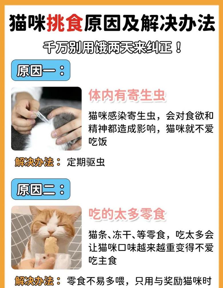 小猫挑食不吃猫粮？这些方法帮你纠正！