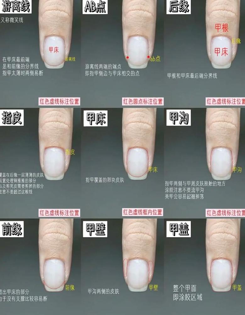 揭秘甲字：结构部首及多重含义解析