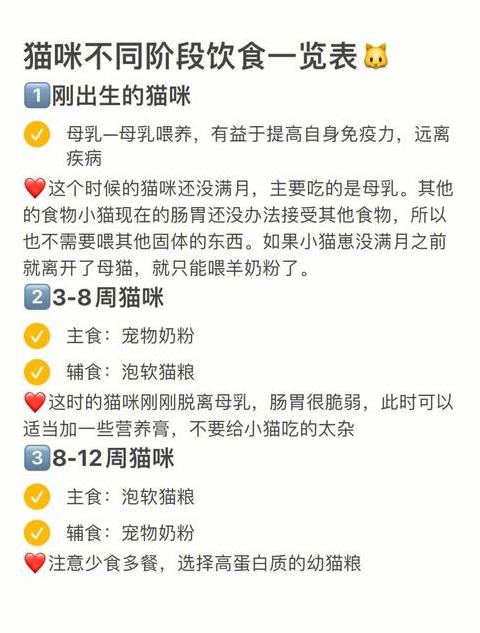 猫咪蛋黄摄入指南：一周几次更健康？