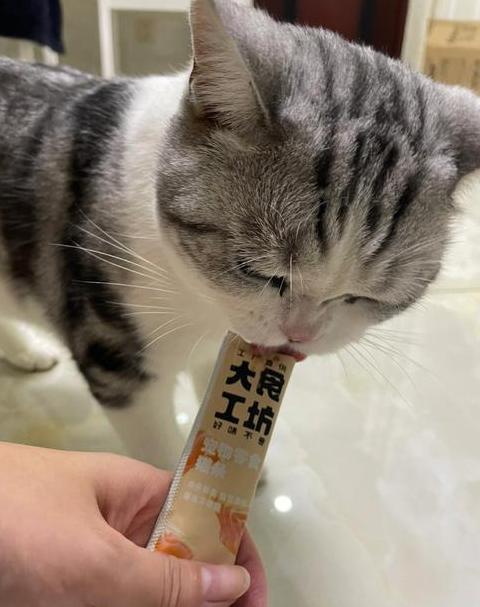 猫条摄入量指南：每日3个猫条，健康与注意事项