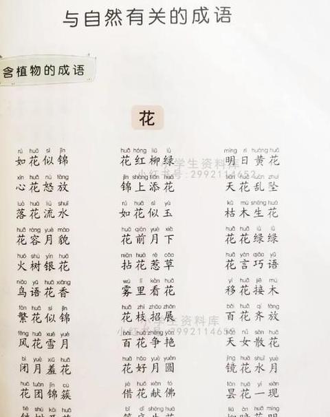 跺脚成语解析：表达情绪的肢体语言