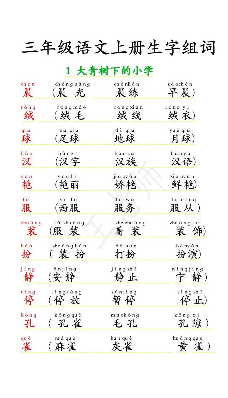 普字组词大盘点：解锁普通词汇的多样魅力