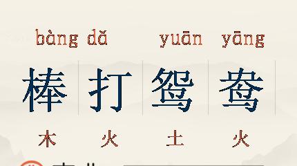 鸳鸯成语大盘点，一网打尽这些成语故事
