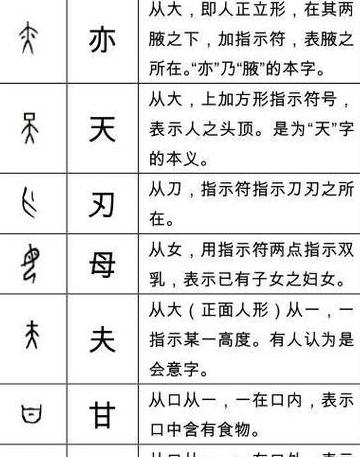 甲字偏旁汉字盘点：结构意义与文化内涵解析