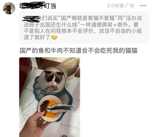 猫咪生吃牛肉好不好