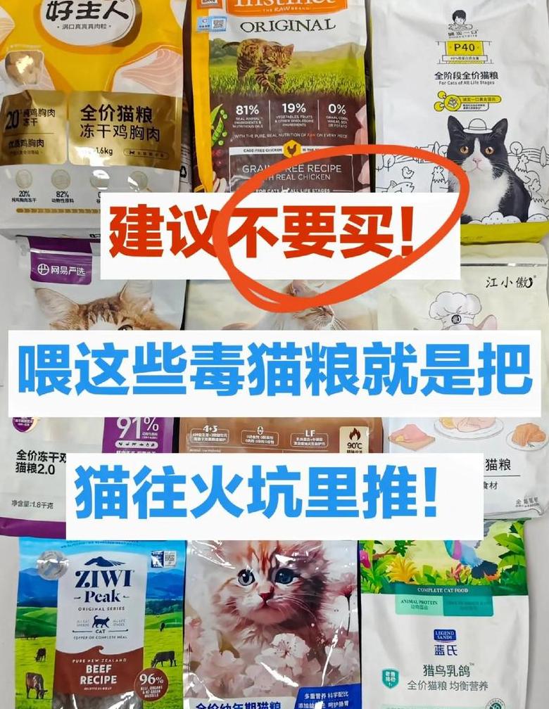 猫零食吃多了不吃猫粮怎么办