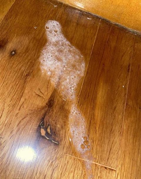 吐黄水苦水原因及应对方法