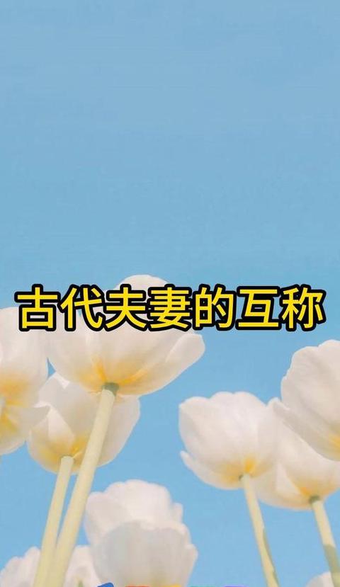 夫妻之间特殊的爱称有哪些