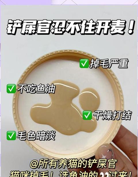 猫咪鱼油防脱攻略：科学喂食方法解析