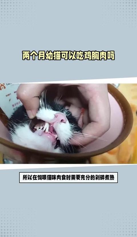 猫一个星期吃多少鸡胸肉