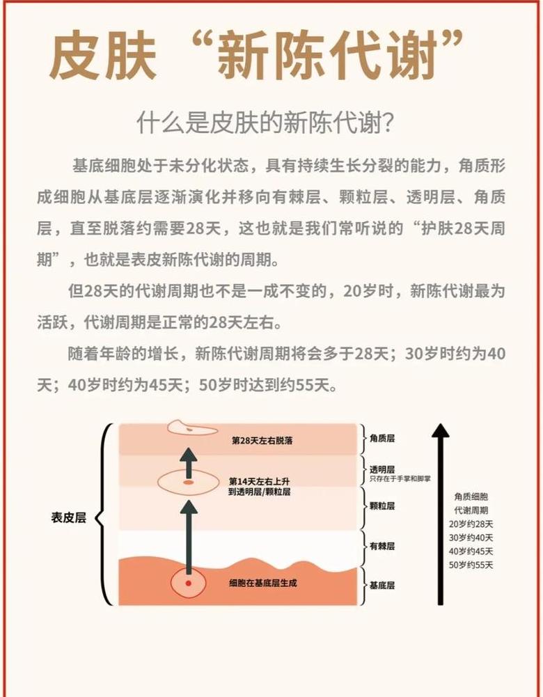 女性提升皮肤新陈代谢小技巧