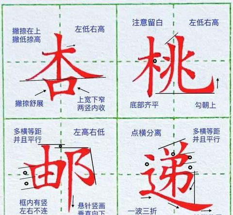 邮组词探秘：邮局、邮票及相关词汇一览