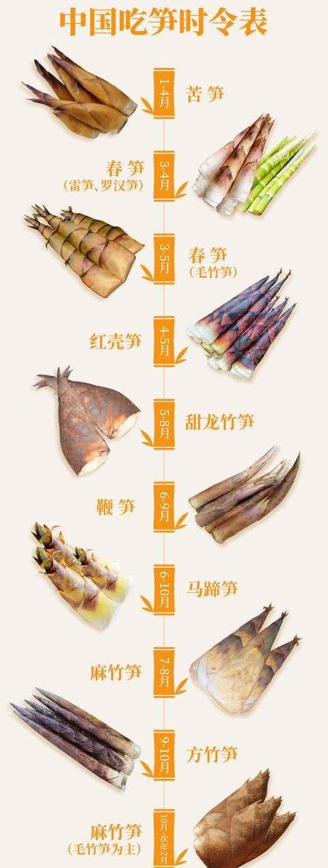 竹笋古诗词赏析：品味传统美食之美