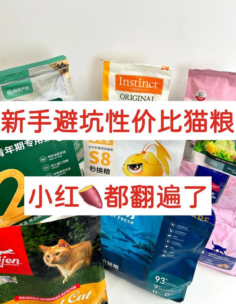 猫咪只吃猫条不吃猫粮，减肥原因大揭秘