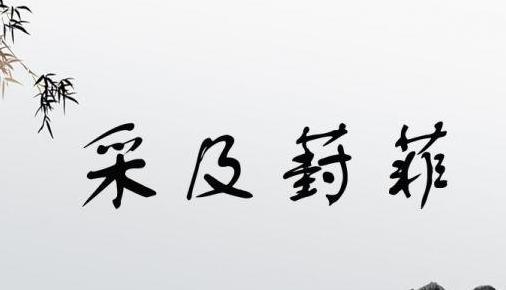 带菲字四字唯美成语