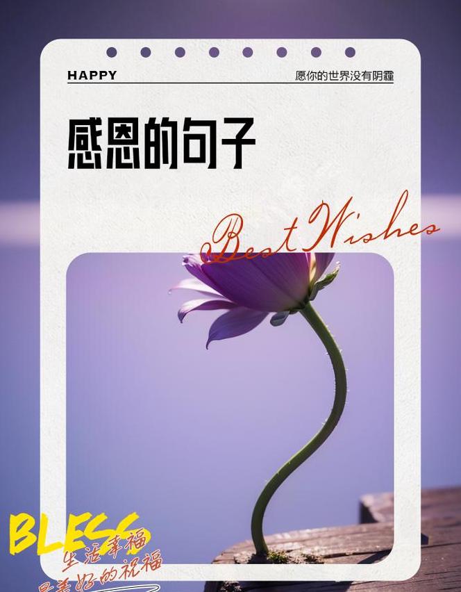 精选感恩句子，温暖心灵语录集