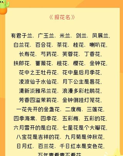 揭秘贯字部首：探寻古代货币与汉字的奥秘