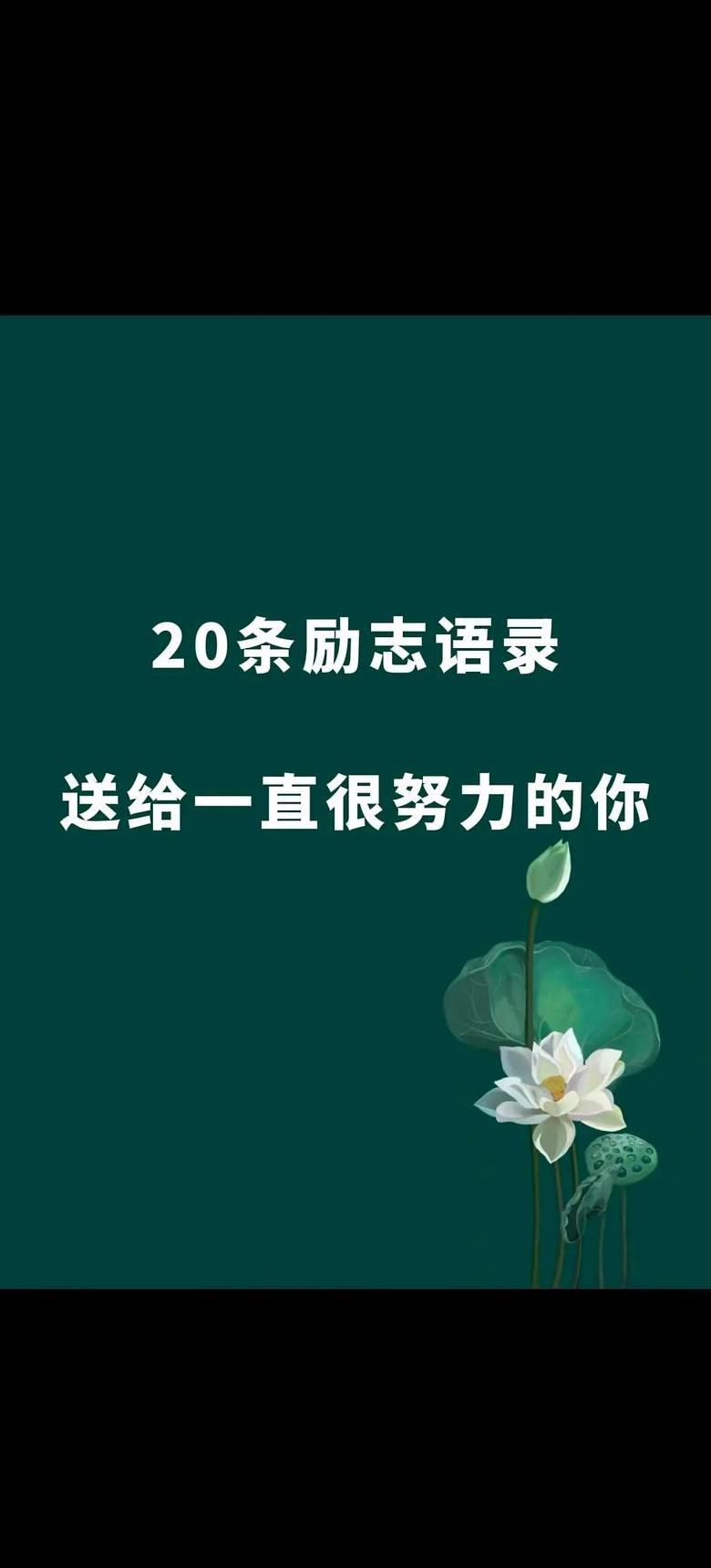 精选8字励志金句，激发正能量！