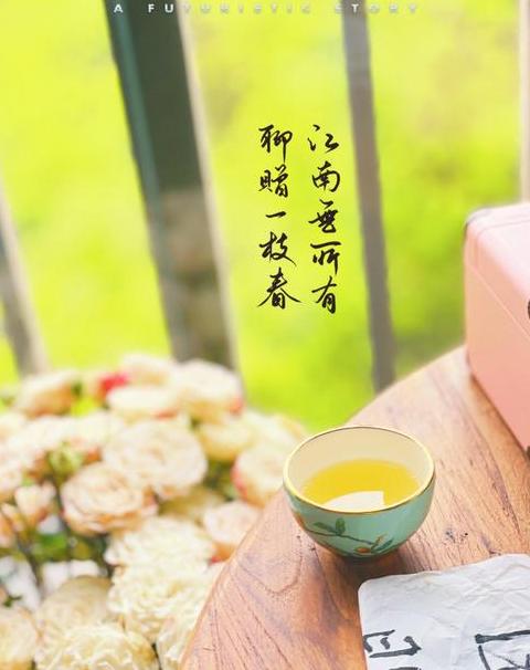 酒后行为艺术家by夜听春雨