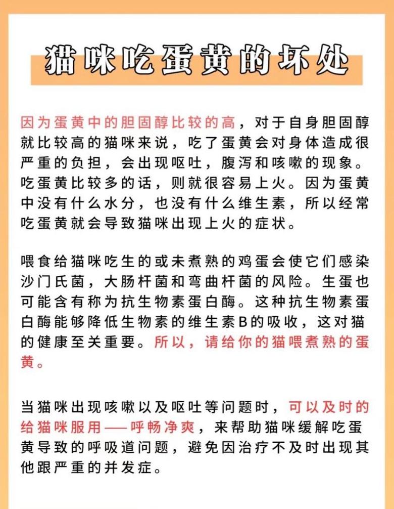 猫蛋黄营养指南：利弊与食用建议