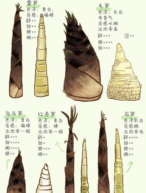 竹笋相克食物大盘点，避免营养流失！