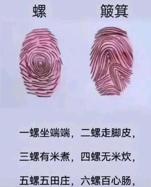 簸多音字组词解析及用途详解