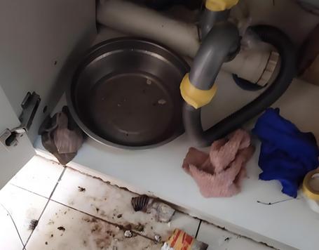 厨房共用主管道漏水责任解析
