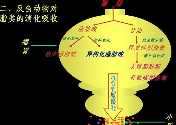 油脂硬化方法解析