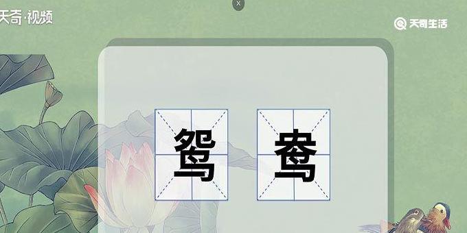 鸳鸯的拼音怎么写和组词