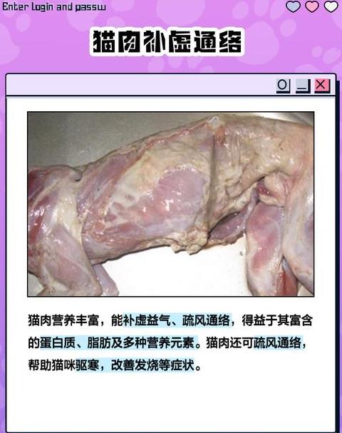 猫肉为什么不能吃