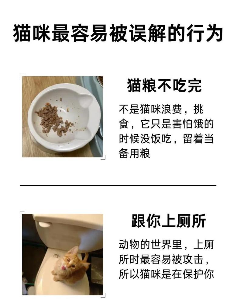 猫吃红薯的禁忌