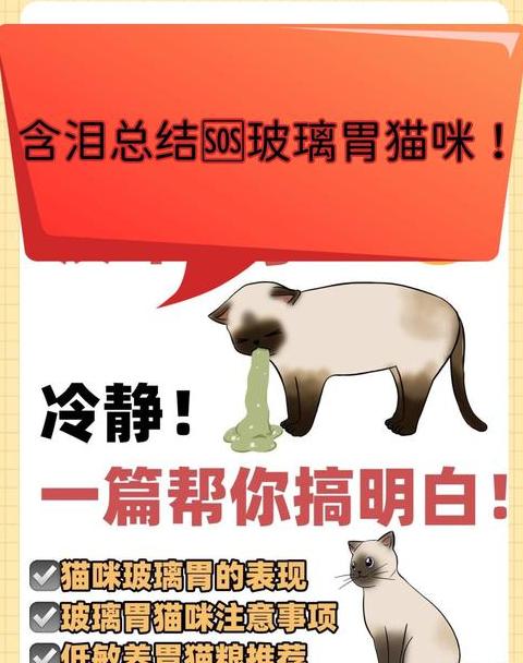 猫咪食欲正常却拉稀，原因及解决方法解析