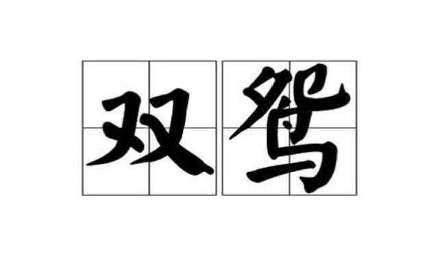 赞美鸳鸯的成语大全