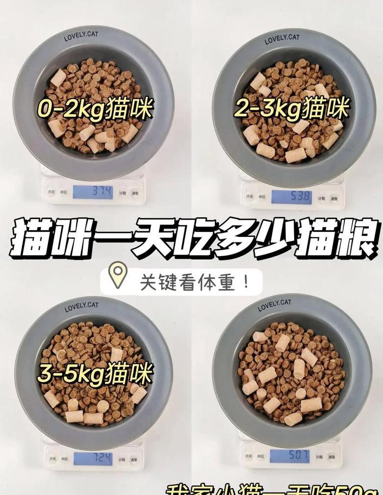 猫吃过鱼就不吃猫粮了怎么办