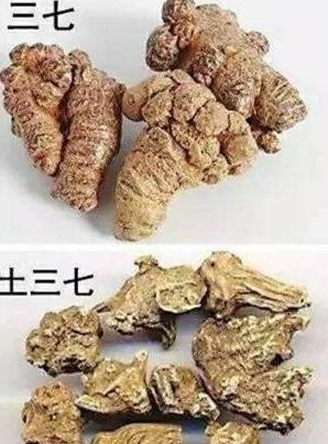 水泥灰土和三七灰土哪个好