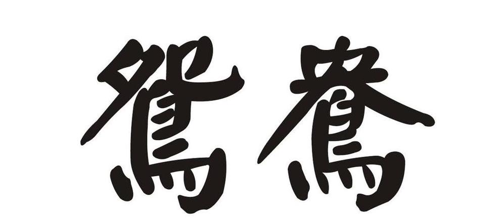 鸳鸯别称大盘点：从老夫妻雅称到古代情侣美名