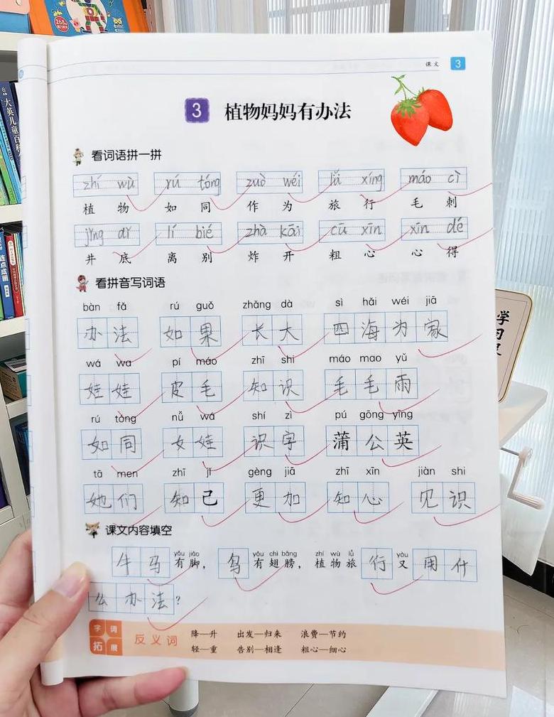 巧用偏旁，汉字新词组合大挑战