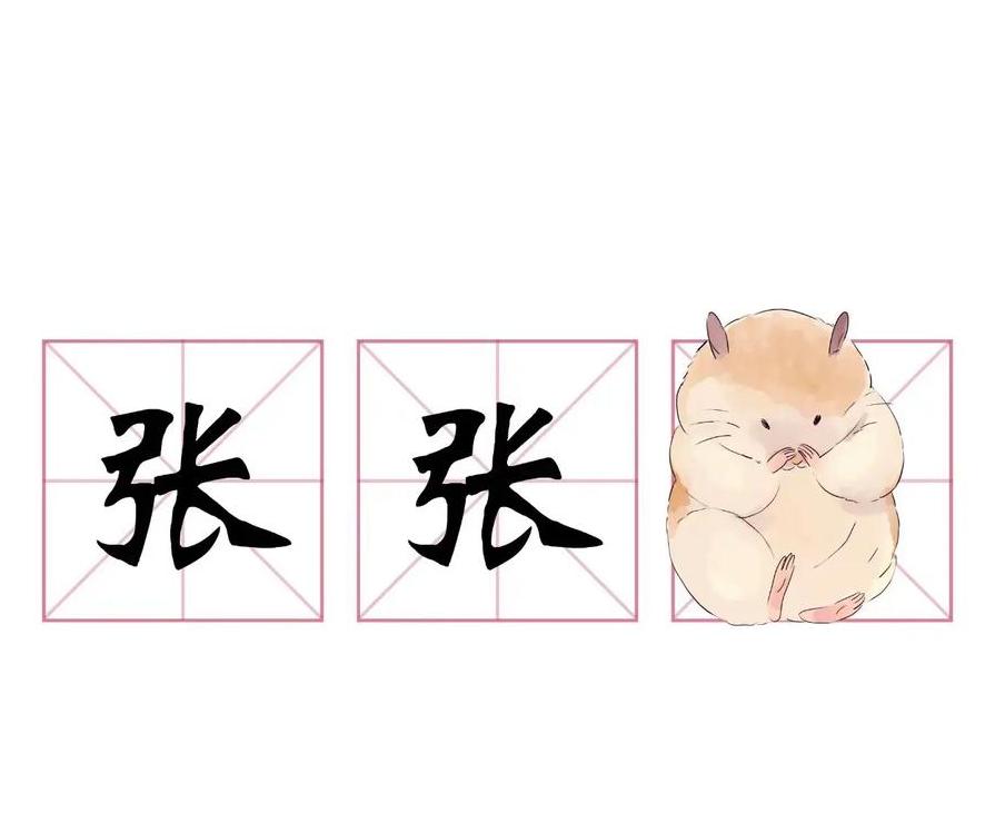 张字谐音成语大盘点：浪漫爱情篇