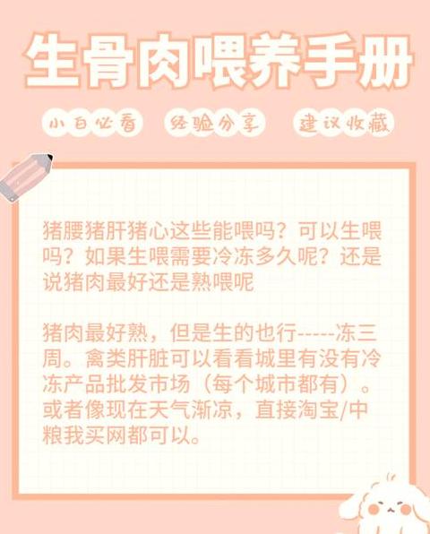 小猫吃猪肝好不好
