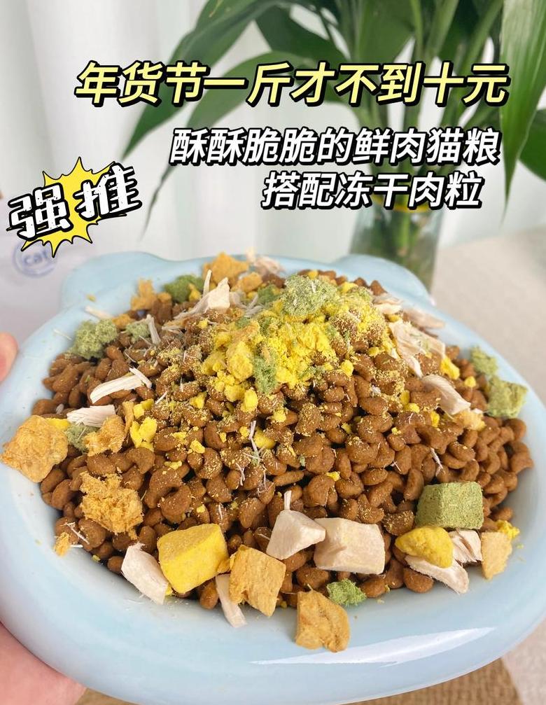 猫咪偏爱肉食，猫粮摄入减少，怎么办？