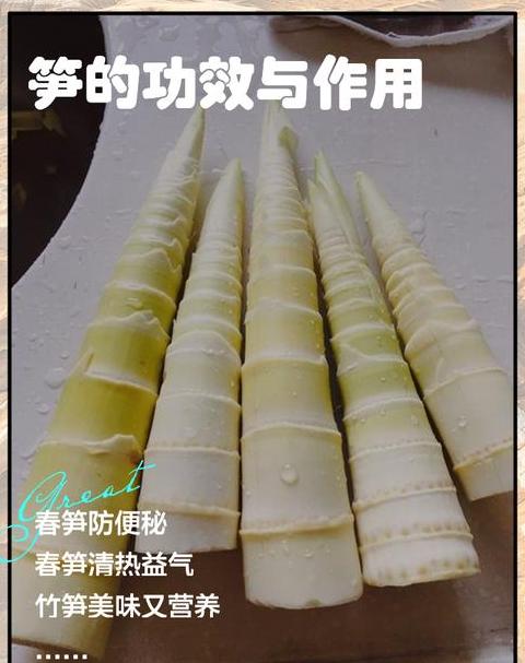 新鲜竹笋的做法与禁忌