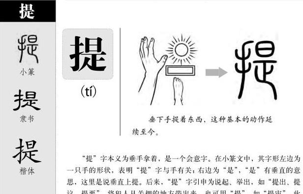 提的多音字用法及组词解析
