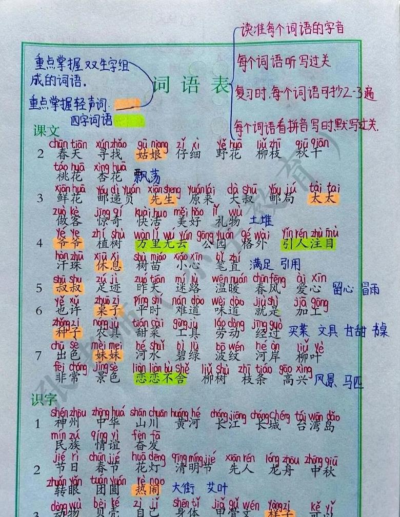 球釜电饭锅：圆形设计革新煮饭体验