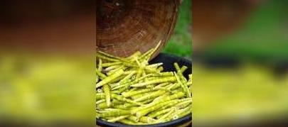 泡椒竹笋家常做法大集合