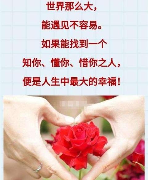 友谊的真谛：相遇相知，相惜同行