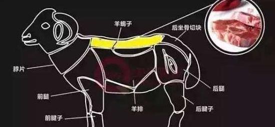 蛇兔结合：揭秘传统习俗中的财富寓意与婚姻兼容性